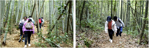 博行天下俱樂部走進從化十登的第二峰-雞枕山 -6