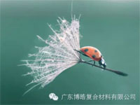 【博皓感悟】成功，要“借力”，不要“盡力”